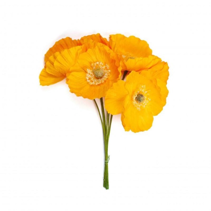 PAPAVERO GIALLO D7 H16